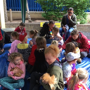 porridge and rice petting zoo