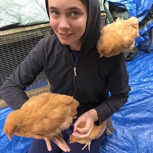 porridge and rice petting zoo